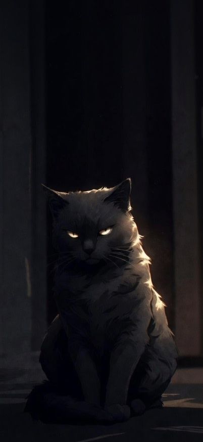 Shadow Cat in Night Light iphone Wallpaper patakapix wallpaper