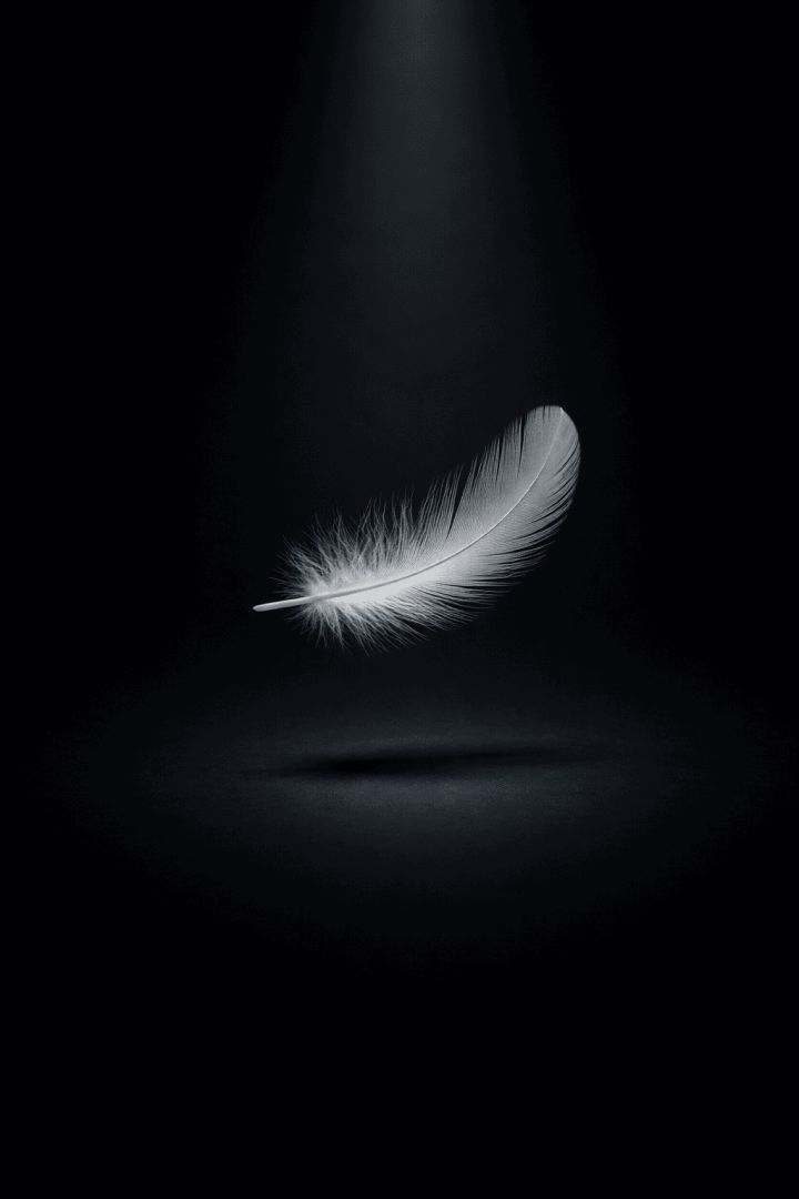 Delicate feather under soft light wallpaper