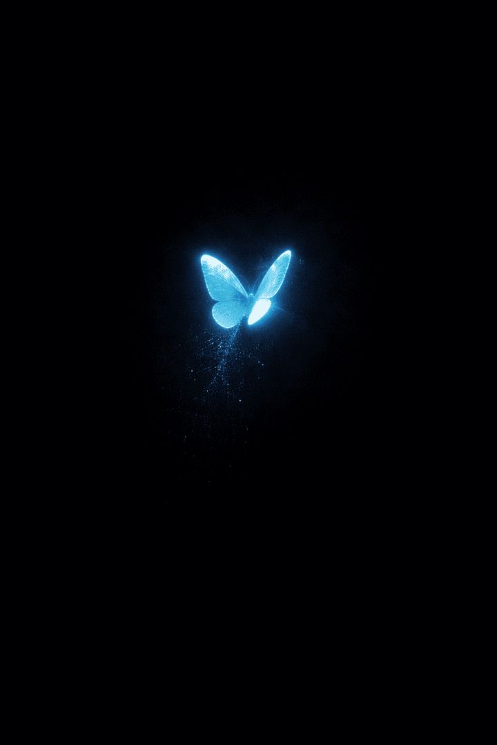 Glowing butterfly in the dark wallpaper