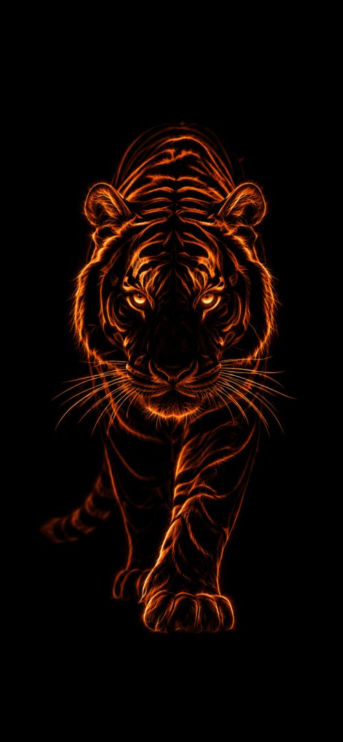 Glowing tiger in the dark wallpaper