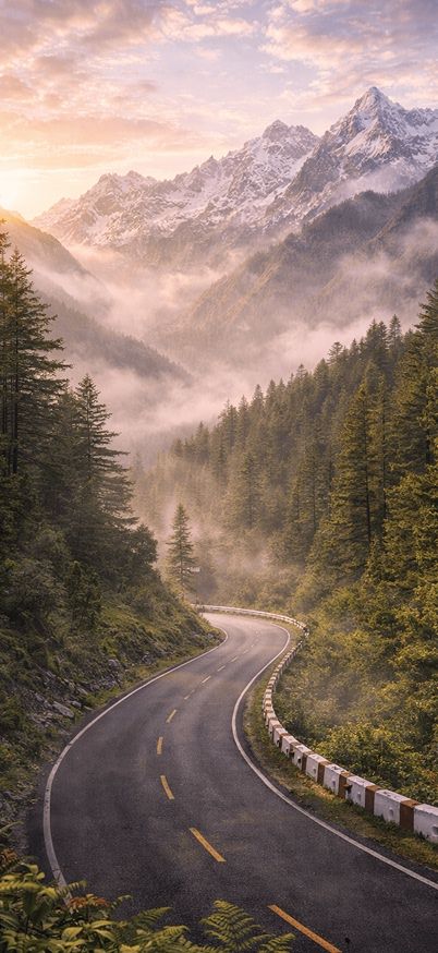 Morning mist on Manali road Iphone wallpaper