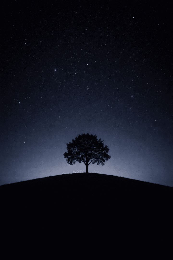 Silent tree under starry sky wallpaper